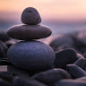 Meet your Posher, Betty